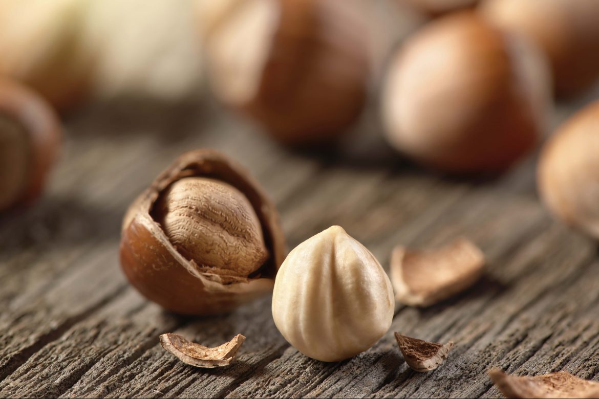 Hazelnut meaning of growing