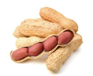 can you eat raw redskin peanuts