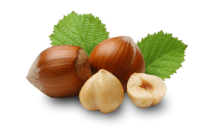 Hazelnut origin