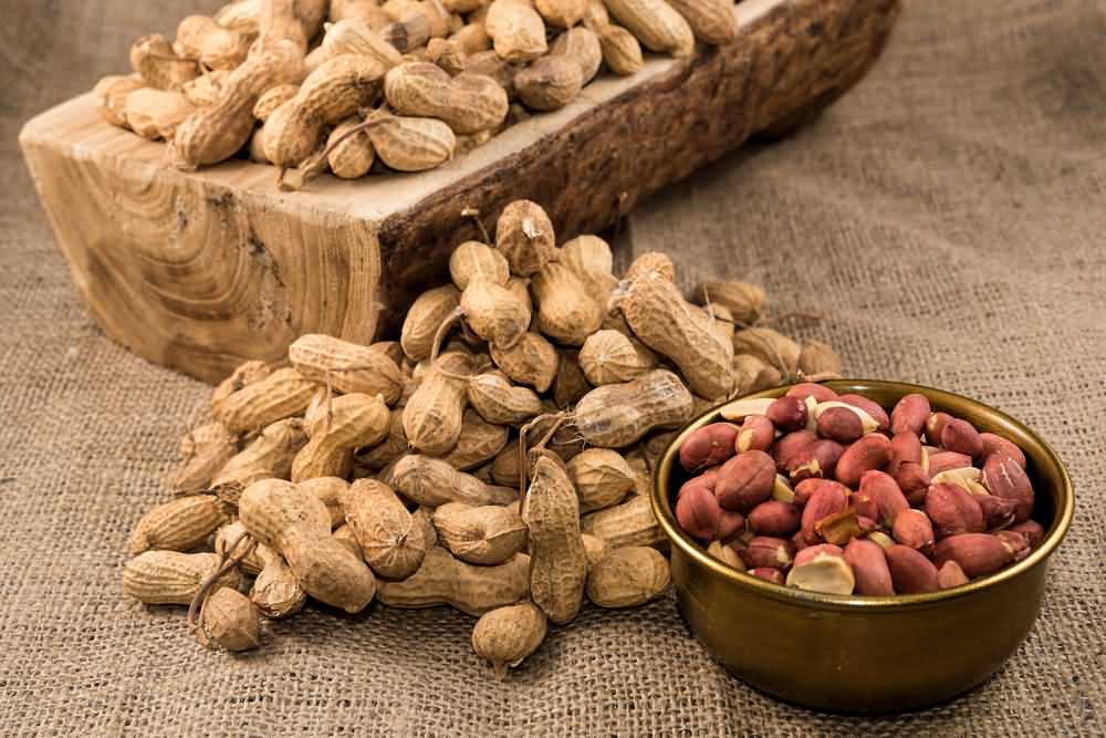 red skin peanuts wholesale price