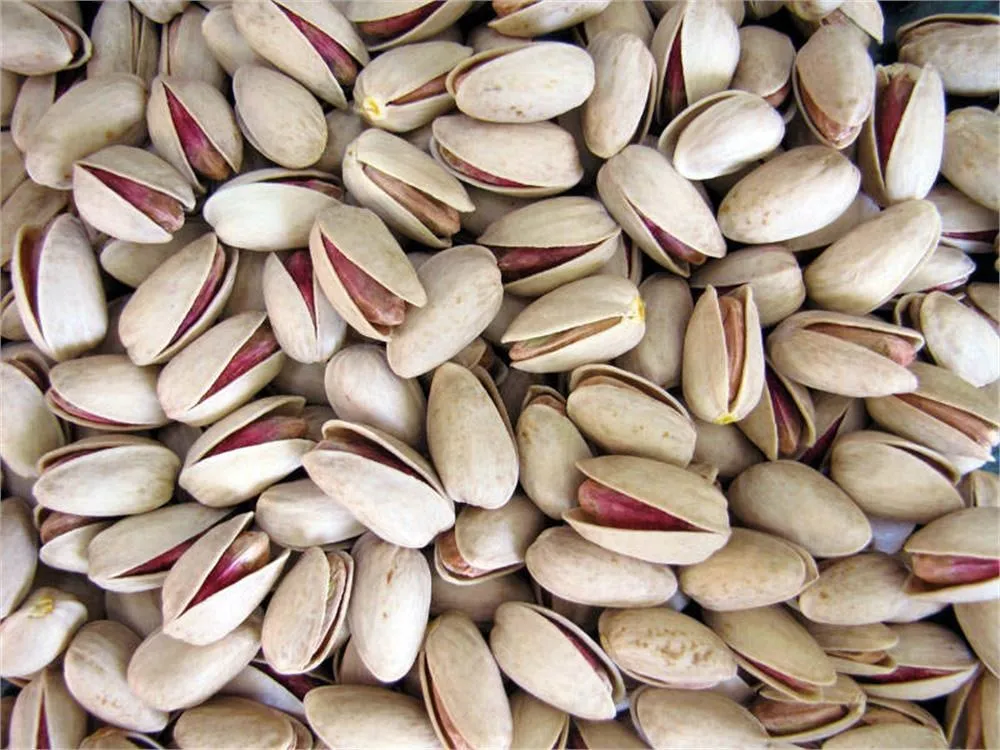 The best Akbari pistachio packaging + great purchase price