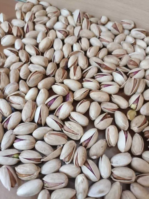 Raw pistachio nuts for sale | Buy at a cheap price