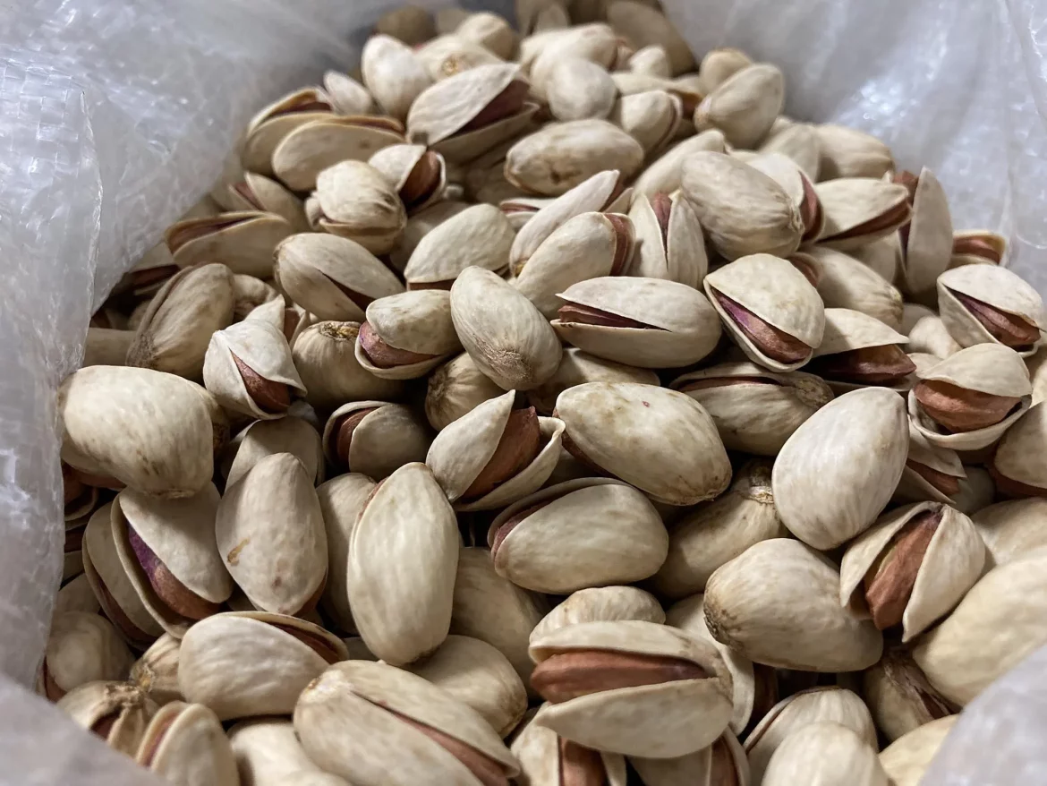 Buy raw shelled pistachios bulk + best price