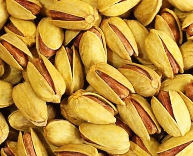 The best purchase price for salted pistachio nuts