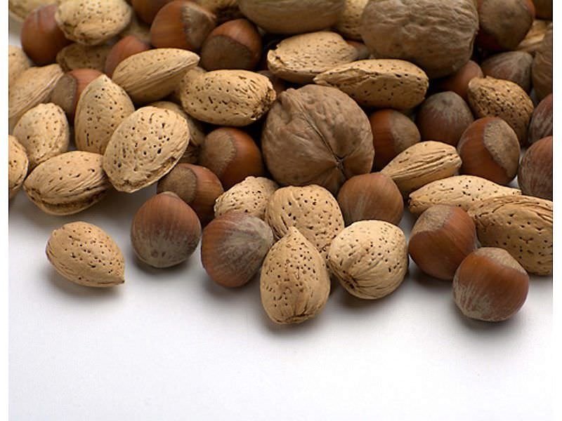 nuts in shell bulk