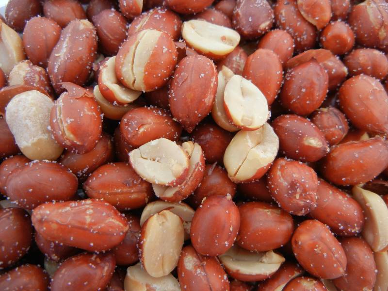 roasted peanuts in shell bulk