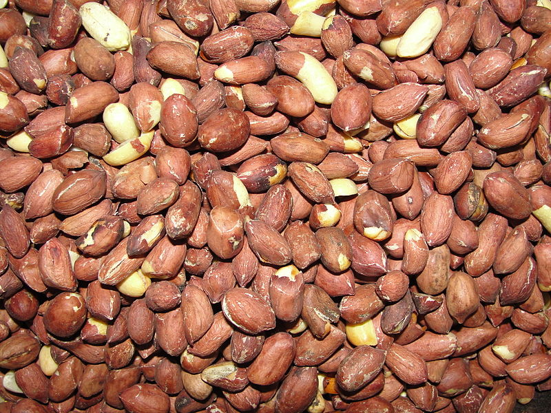 roasted peanuts in shell bulk