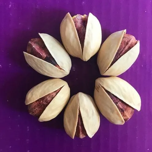 greek pistachios bulk