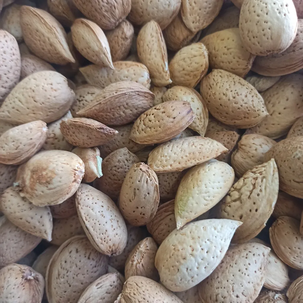 Purchase and today price of almond fruit in Nigeria