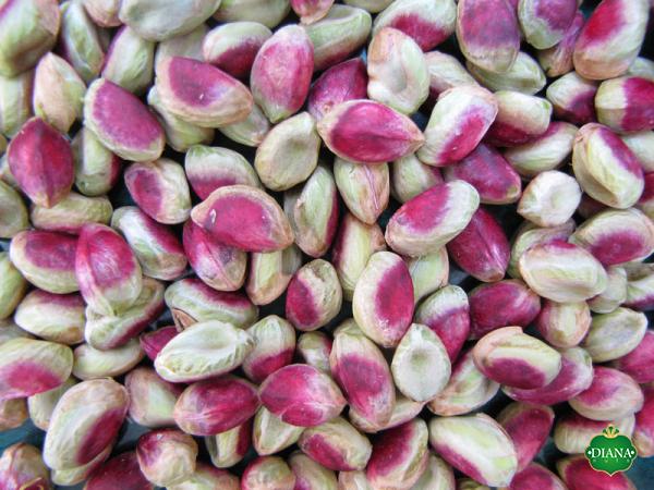 Bulk pistachios Canada purchase price + quality test