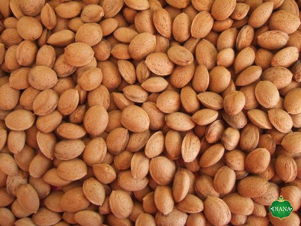 Purchase and today price of marcona almonds in shell