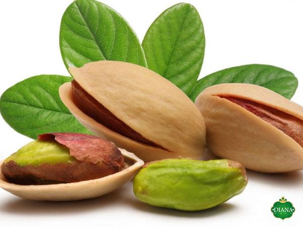 Pistachios bulk uk purchase price + user guide