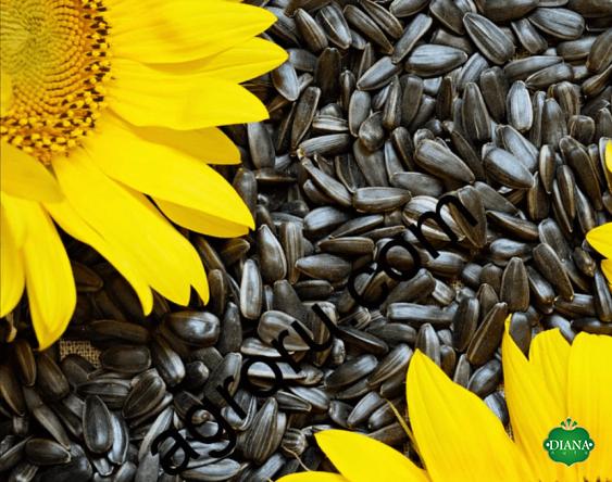 The price of sunflower seeds bigs from production to consumption