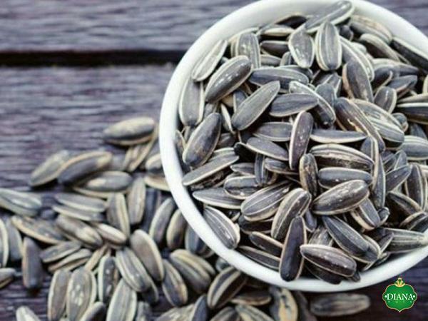 Sunflower seeds bulk Canada | Buy at a cheap price