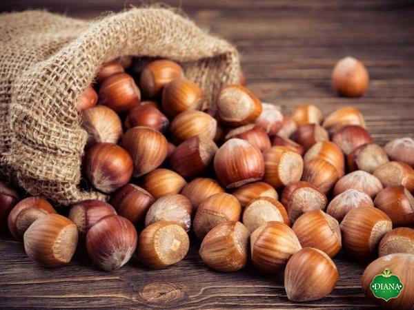 Buy the latest types of bulk hazelnuts in shell