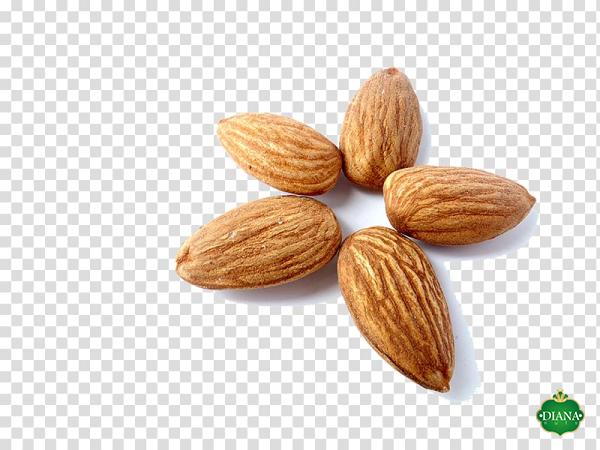 Specifications of nut