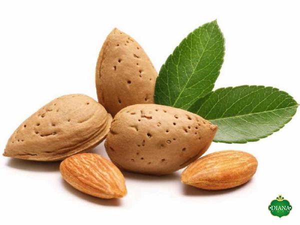 Purchase and price of bulk almonds nz types