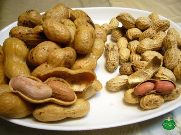 Specifications of nut