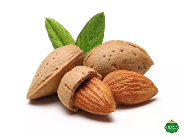 Buy the best types of Almond fruit at a cheap price