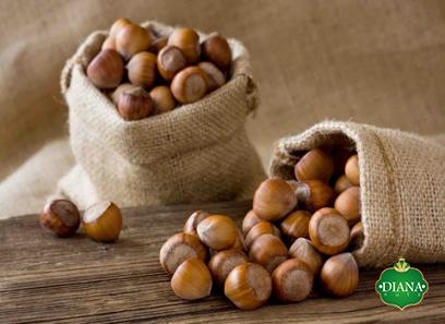 kj hazelnuts purchase price + sales in trade and export