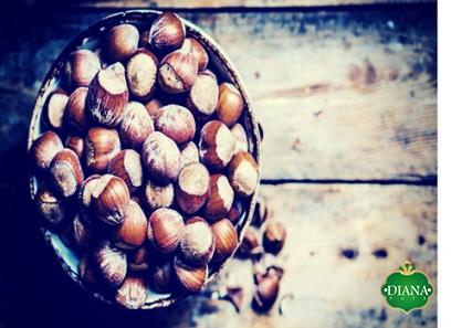 The purchase price of fresh oregon hazelnuts + properties, disadvantages and advantages