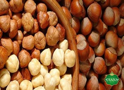 american hazelnut purchase price + sales in trade and export