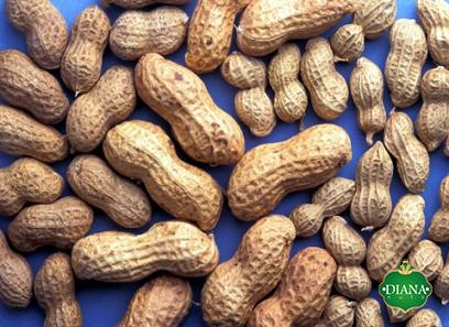 Buy the latest types of raw peanut at a reasonable price