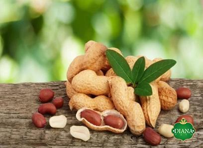 Purchase and today price of fresh coconut peanut