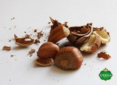 Buy fresh hazelnuts roasted + great price with guaranteed quality