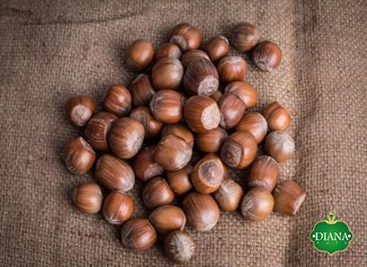 The purchase price of fresh hazelnuts in shell + properties, disadvantages and advantages