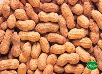 Purchase and price of fresh peanuts in shell types