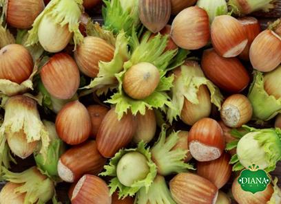 Buy raw vs roasted hazelnuts at an exceptional price