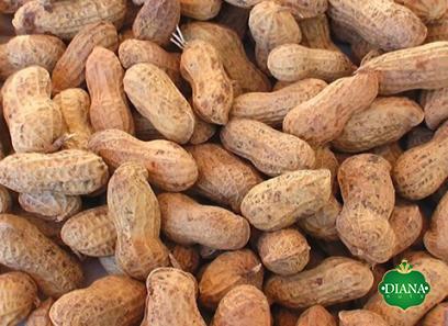 Buy all kinds of peanut in spanish at the best price