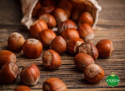 freshtone hazelnut purchase price + sales in trade and export