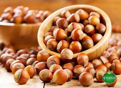 beaked hazelnut purchase price + sales in trade and export