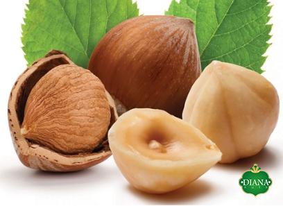 Buy organic farm hazelnuts + great price with guaranteed quality