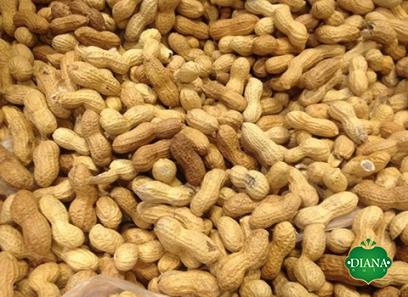 Buying the latest types of peanut in spanish mexico from the most reliable brands in the world