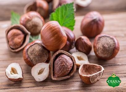 Buy hazelnut raw or roasted + great price with guaranteed quality