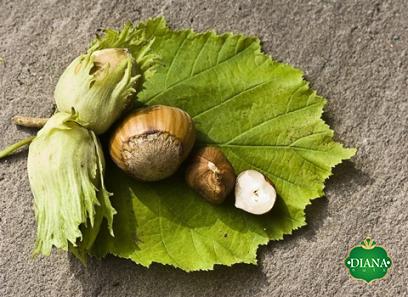 Buy natural grocers hazelnut + great price with guaranteed quality