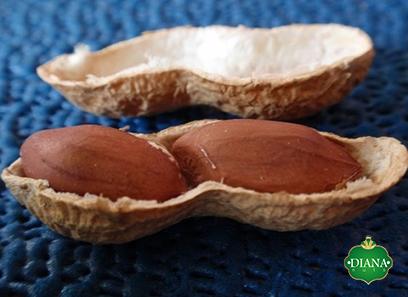 Price and buy raw peanut for weight gain + cheap sale